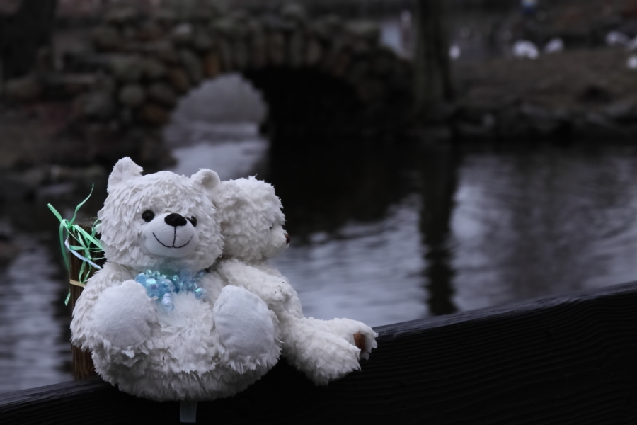 2013 01 13 IMG 1267